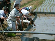水温や地温、メタンガスなどの観測も