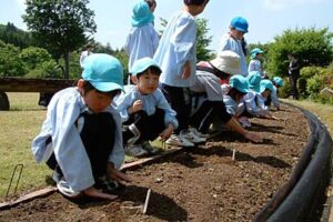 21日、中小企業大学校三条校でヒマワリの種をまく第二つくし保育園年長児