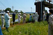 吉津川排水路の巡視