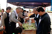 焼きそばを調理する県央食品衛生協会三条支部