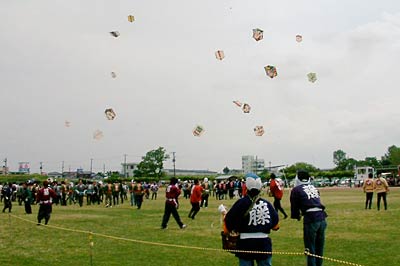 7、8の2日間、三条・燕総合グラウンドで開かれている三条凧合戦