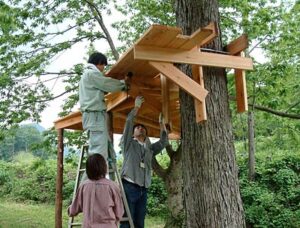三条市下田地区の奥地、吉ヶ平で吉ヶ平保存会がツリーハウスづくり