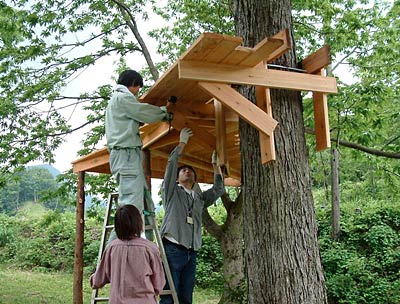 三条市吉ヶ平でツリーハウスづくりを行う吉ヶ平保存会