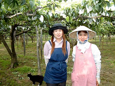 ナシの袋かけ作業体験を行っている小杉農園