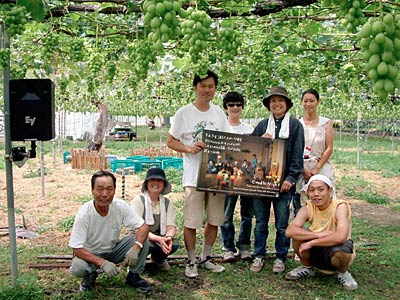 21日に「ぶどうの房づくり体験」と「ぶどう畑のキャンドルコンサート」を行う渡辺果樹園のブドウ畑