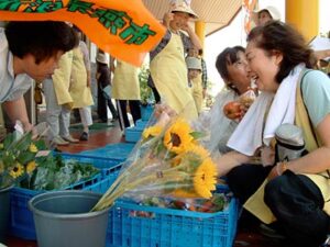 燕市吉田ふれあい広場で週末営業を開始した若葉吉田直売所組合の農産物直売所