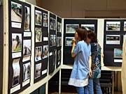 会場入り口で7・13水害の記録写真の展示