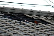瓦屋根に開いた穴