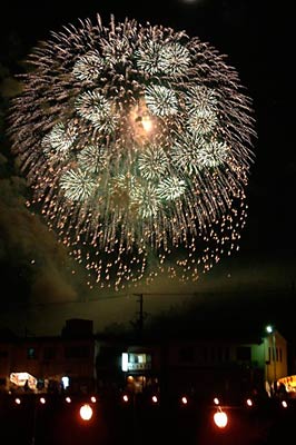 市街地の街並みの向こうに花を開く大花火大会