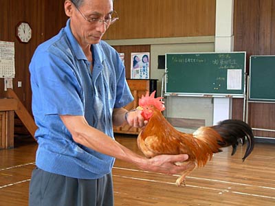 24日開かれた平成20年度三条市芝地鶏等級審査会でAランクに認定した芝地鶏