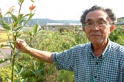 講師の岩崎さん