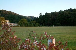 5日に三条市総合運動公園芝生広場で初めてのボールパークフェスティバル、フリーマーケットやよさこいに野外コンサートも
