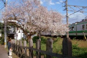 2日の三条市は最高気温21.1度の秋晴れ