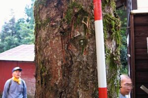 20、21日と立て続けに三条市内でこの秋初めてのクマの出没情報