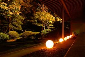 田上町・椿寿荘が週末に夜間特別開館して枯山水の庭園をライトアップ