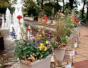 寄せ植えコンテストの出品作品