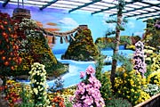  左にあるのが夫婦岩