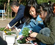 さっそく花の苗をプランターに植える