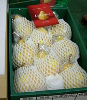 出荷をまつ「ル レクチェ」