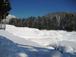 「しただブログ」に雪に覆われた下田の棚田と冬の抜けるような青空