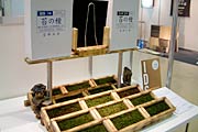 IDS準大賞/苔神工房(新潟市)「苔の種」
