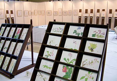 外山康雄野の花水彩画展