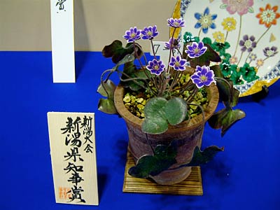 最高賞の新潟県知事賞