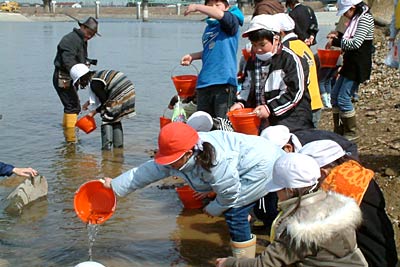 五十嵐川にサケの稚魚を放流する四日町小児童