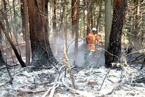 11日にも三条市吉野屋で林野火災、これで三条市内では9日から3日連続の火災発生