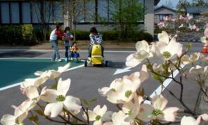 28日は青空が広がっても最高気温13.5度にとどまる花冷え