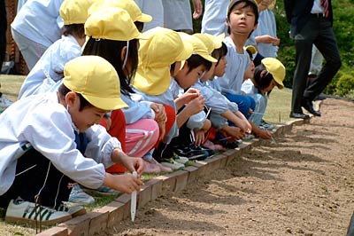 中小企業大学校三条校で第二つくし保育園年長児がヒマワリの種まき