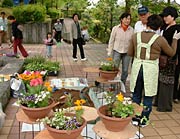 寄せ植え体験