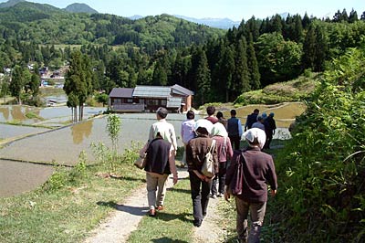 下田八木ヶ鼻温泉「いい湯らてい」が’入館者を対象に行っている「新緑の棚田　ヒメサユリ見学無料バス」の運行