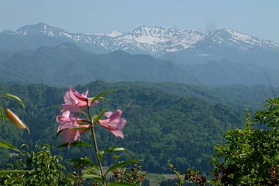 登山道から残雪の粟ヶ岳を望むことができる