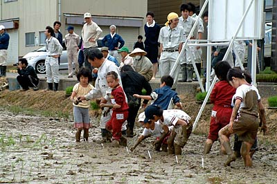 23日行われた県央研究所の「平成21年度版もうひとつの小さな田植え」