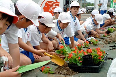燕市廿六木三区地内の国道289号緑地帯に花苗を植える燕西小4、5年生