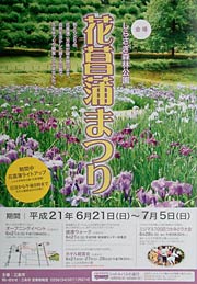 花菖蒲まつりのポスター