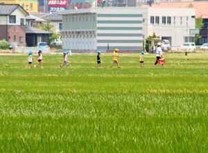 26日の三条は最高気温31.6度で2日連続の真夏日