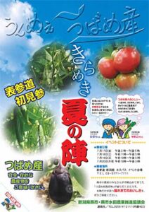 「うんめぇ～　つばめ産　きらめき夏の陣」のちらし