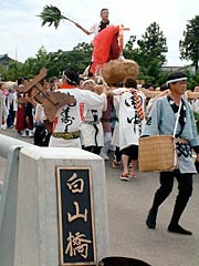 架け替えられた白山橋を渡る大蛇