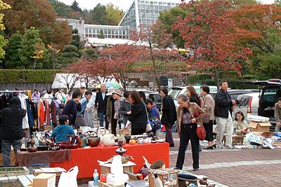 三条市保内公園で開かれた秋の保内公園まつり