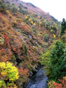 「しただブログ」に掲載された下田地区の紅葉