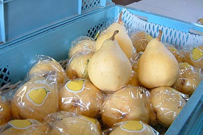 学校給食用に出荷される大島産の「ル　レクチエ」