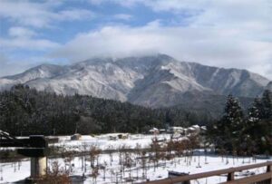 14日夜からの雪で「しただブログ」に「09下田雪景色」