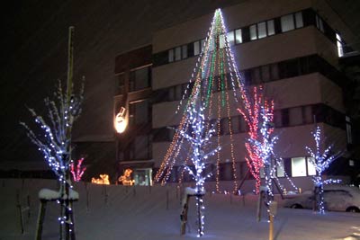 県央研究所新社屋を初めて飾るイルミネーション