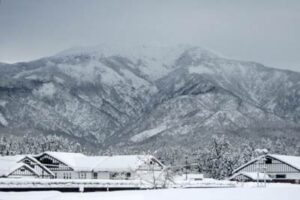 「しただブログ」で22日の下田地区の積雪状況を紹介