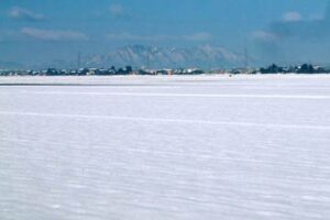 25日の三条市は晴れて7.3度まで気温が上がる穏やかな陽気
