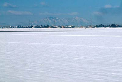 25日、三条市西中付近から一面の雪に覆われた田んぼの向こうに弥彦山