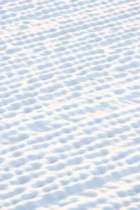 19日の三条は3月中旬並みの暖かい陽気となり、翌20日の「大寒」は季節外れの10度を超す春休み並みの陽気か
