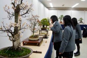 三条で陽風会が13、14日と新春盆栽展、春本番を急かすようにボケの花やフキノトウも